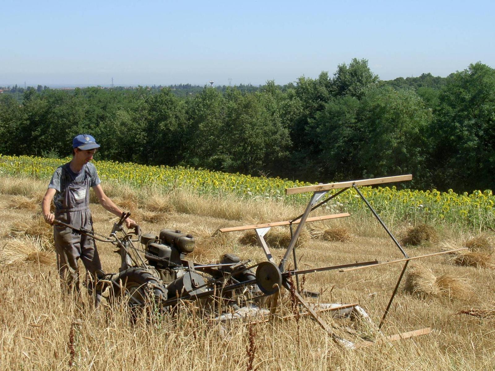 Agriturismo Cascina Degli Ulivi نوفي ليغوري المظهر الخارجي الصورة